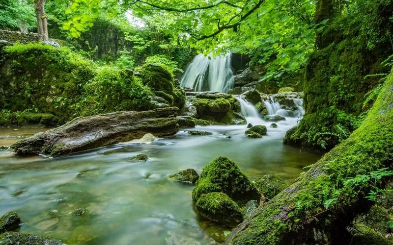 电子独特高精度